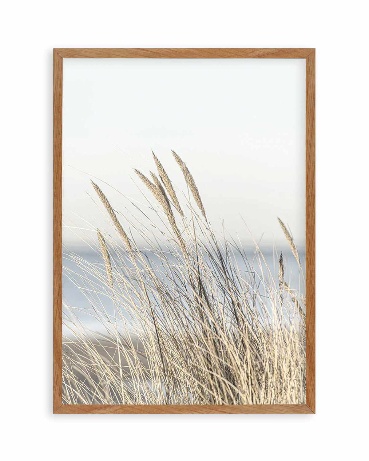 Coastal Grass Art Print