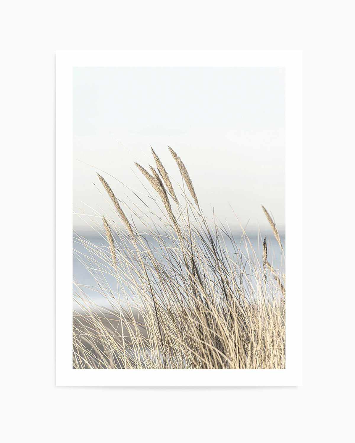 Coastal Grass Art Print