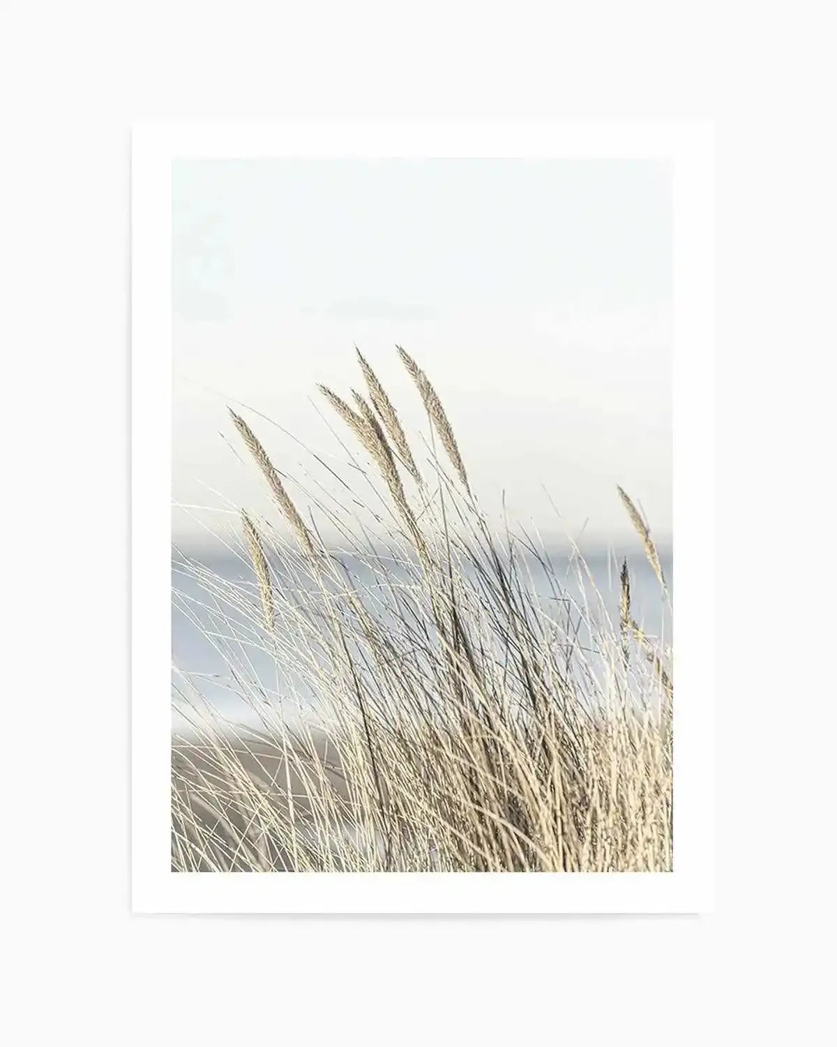 Coastal Grass Art Print from Olive et Oriel where you can shop wallpaper and artworks online