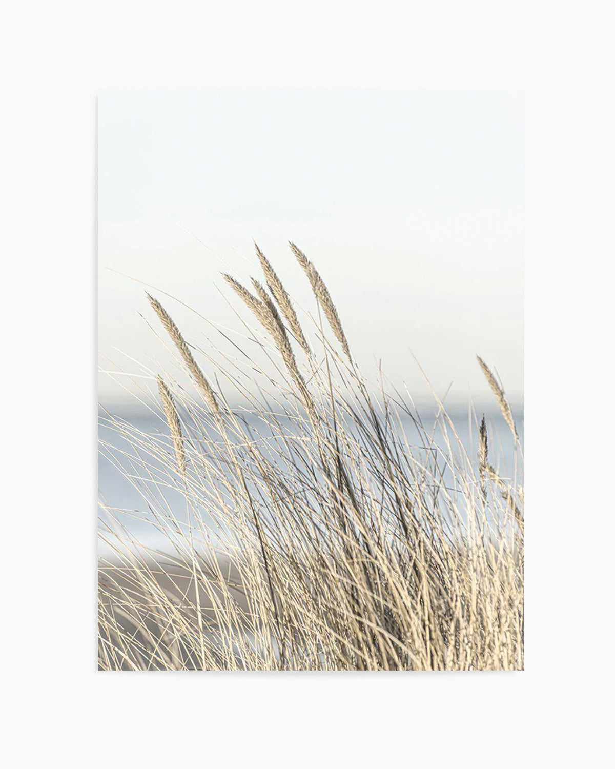 Coastal Grass Art Print