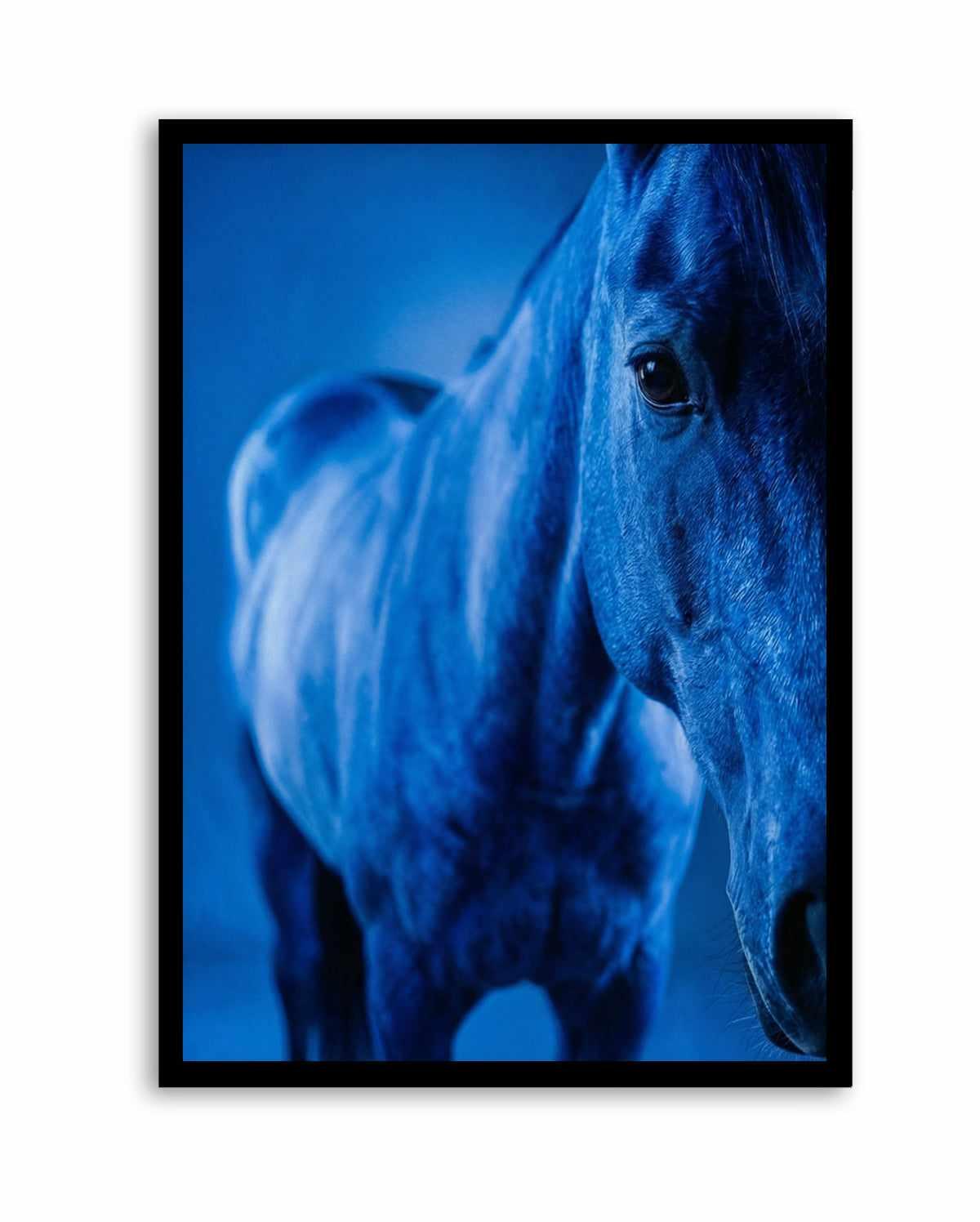 Cobalt Stallion | Art Print from Olive et Oriel where you can shop wallpaper and artworks online