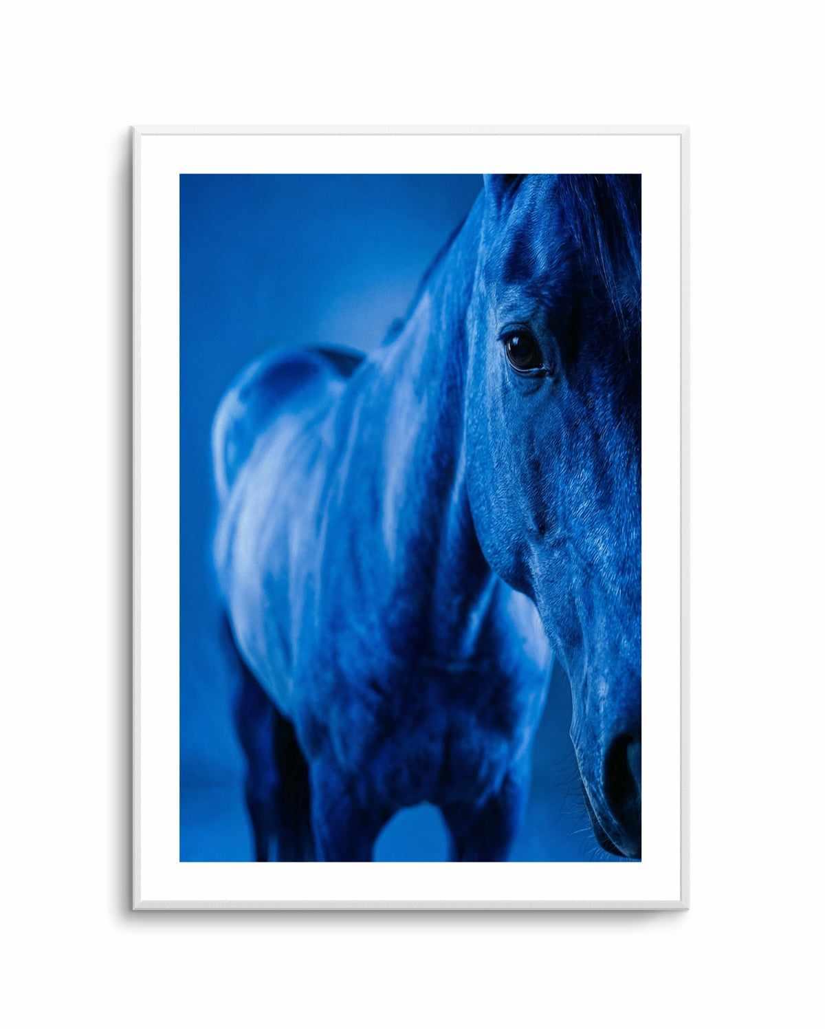 Cobalt Stallion | Art Print