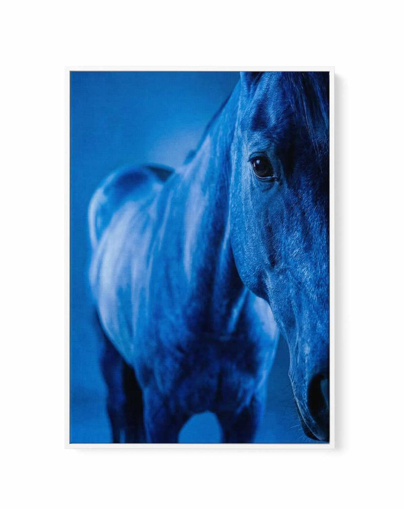 Cobalt Stallion | Framed Canvas Art Print from Olive et Oriel where you can shop wallpaper and artworks online