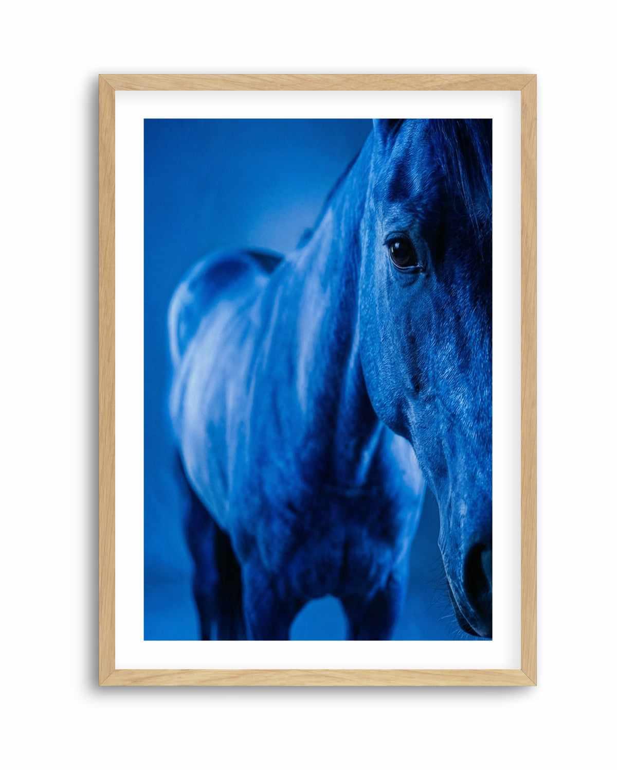 Cobalt Stallion | Art Print from Olive et Oriel where you can shop wallpaper and artworks online