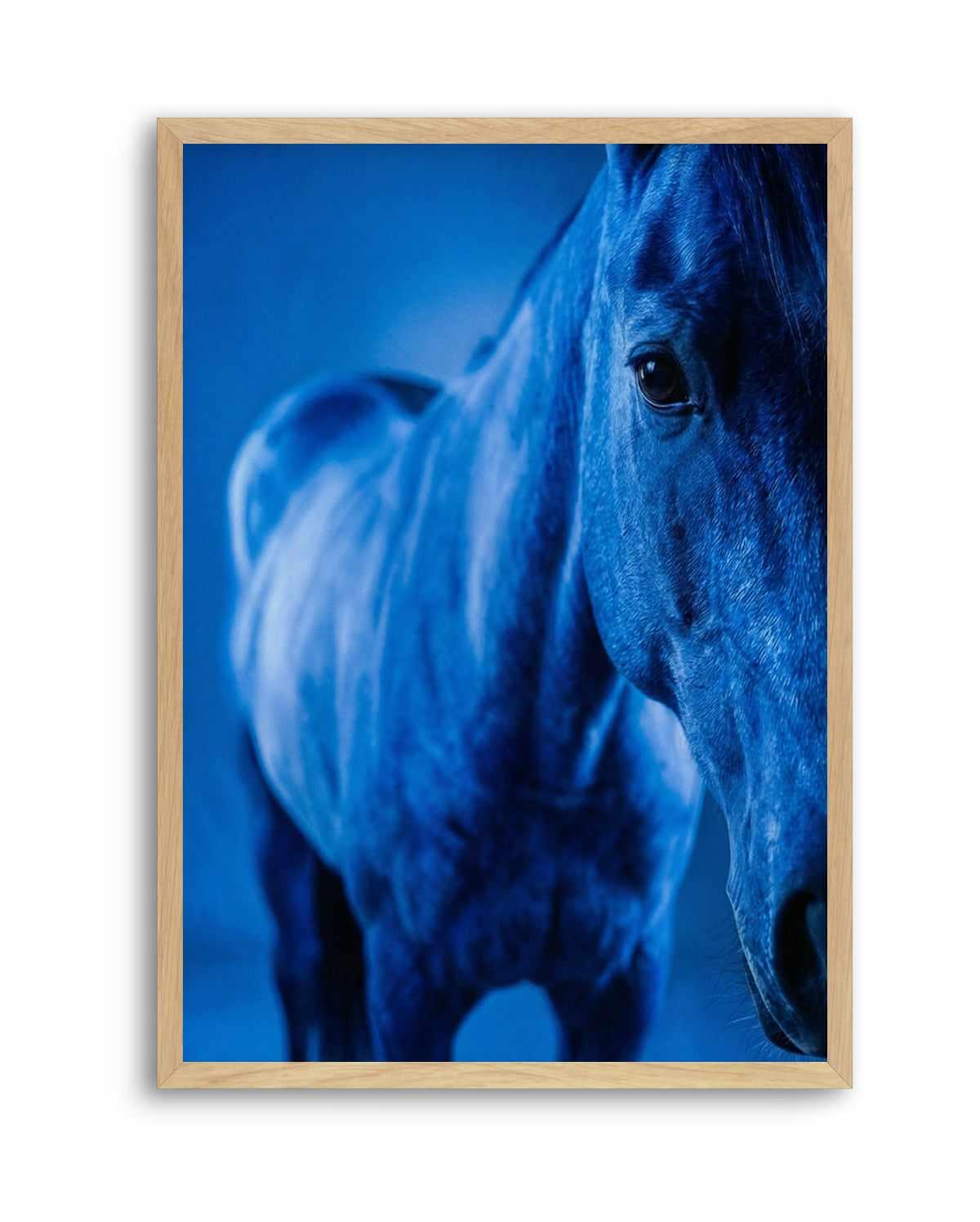 Cobalt Stallion | Art Print from Olive et Oriel where you can shop wallpaper and artworks online