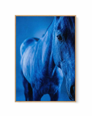 Cobalt Stallion | Framed Canvas Art Print from Olive et Oriel where you can shop wallpaper and artworks online