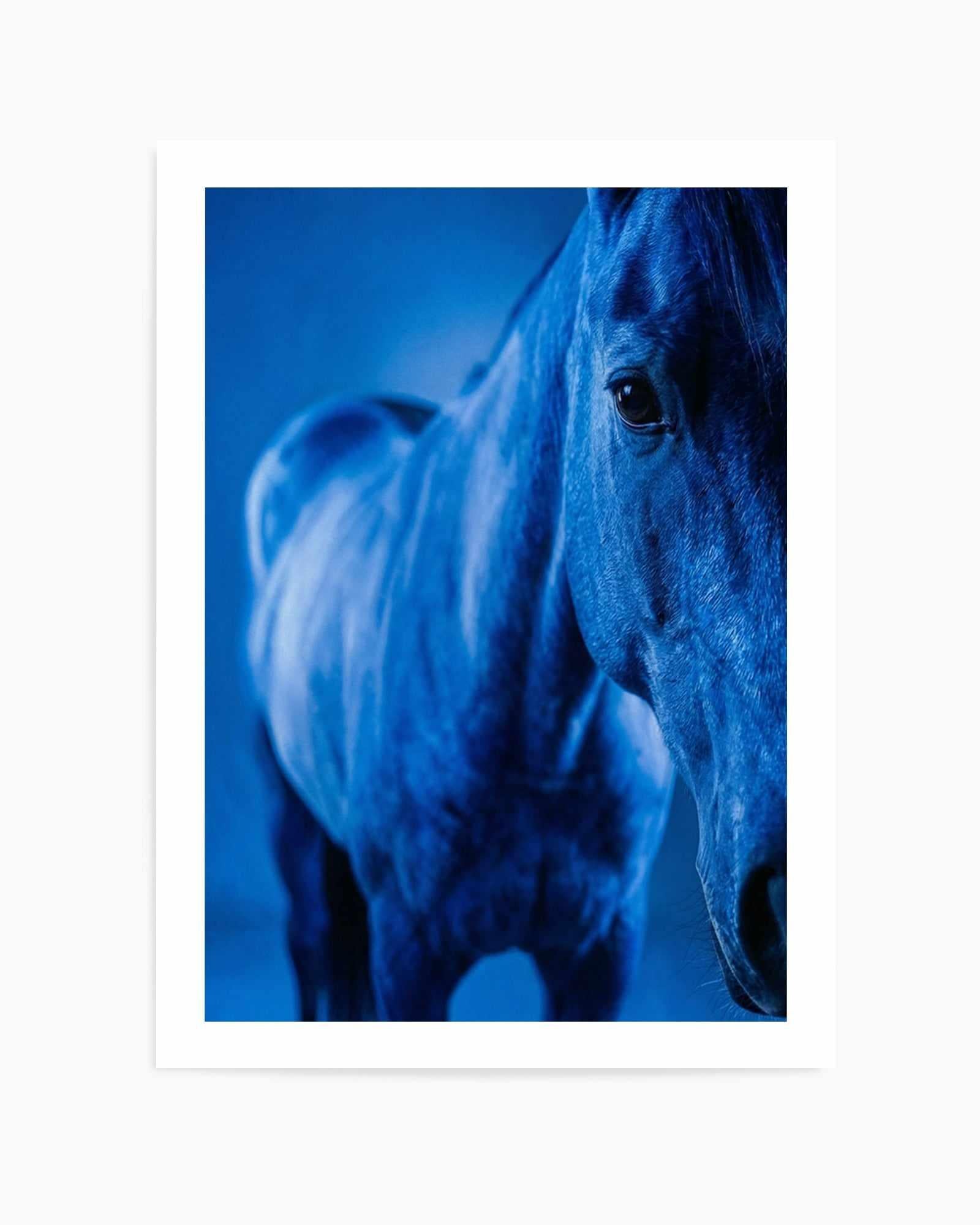 Cobalt Stallion | Art Print from Olive et Oriel where you can shop wallpaper and artworks online