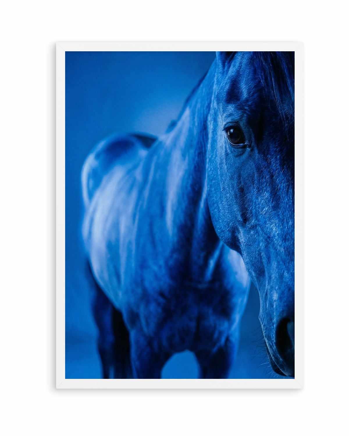 Cobalt Stallion | Art Print from Olive et Oriel where you can shop wallpaper and artworks online