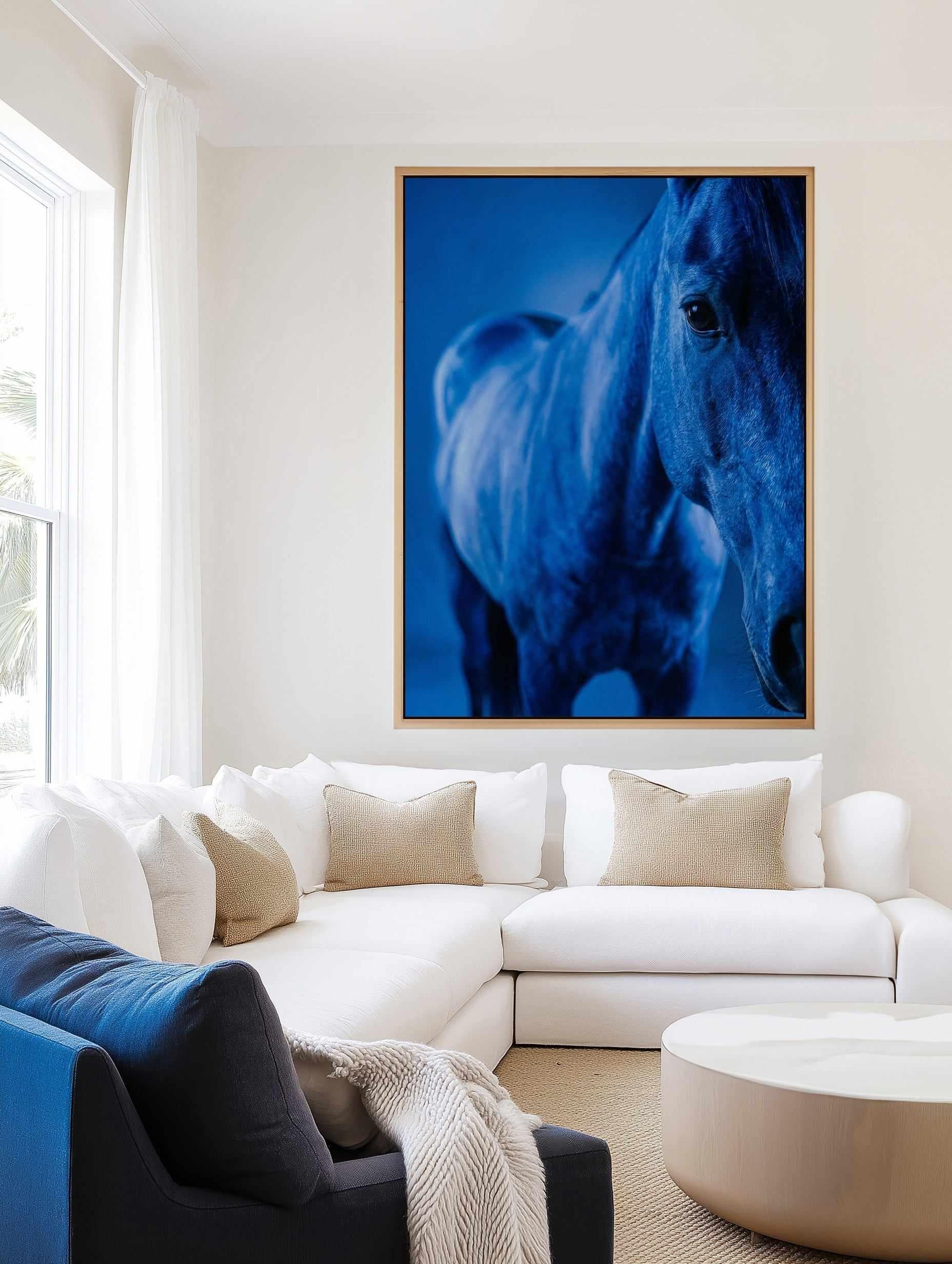 Cobalt Stallion | Framed Canvas Art Print