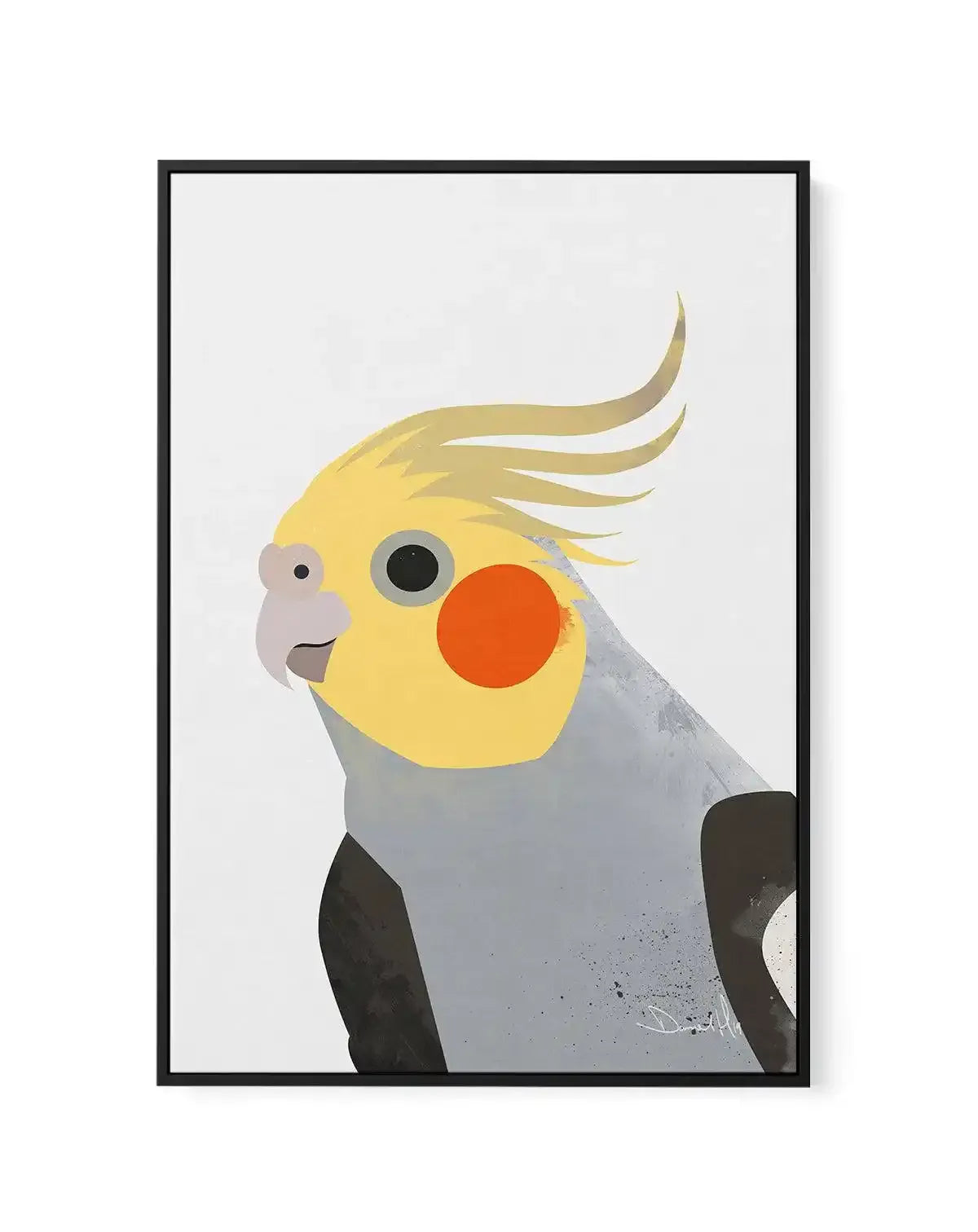Cockatiel II by Dan Hobday | Framed Canvas-CANVAS-You can shop wall art online with Olive et Oriel for everything from abstract art to fun kids wall art. Our beautiful modern art prints and canvas art are available from large canvas prints to wall art paintings and our proudly Australian artwork collection offers only the highest quality framed large wall art and canvas art Australia - You can buy fashion photography prints or Hampton print posters and paintings on canvas from Olive et Oriel and