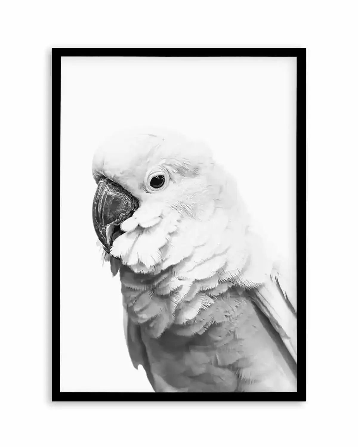 Cockatoo | B&W Art Print from Olive et Oriel where you can shop wallpaper and artworks online