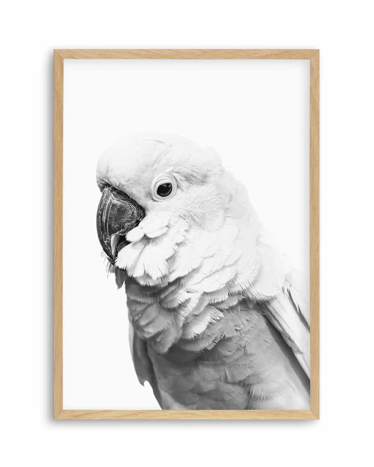 Cockatoo | B&W Art Print