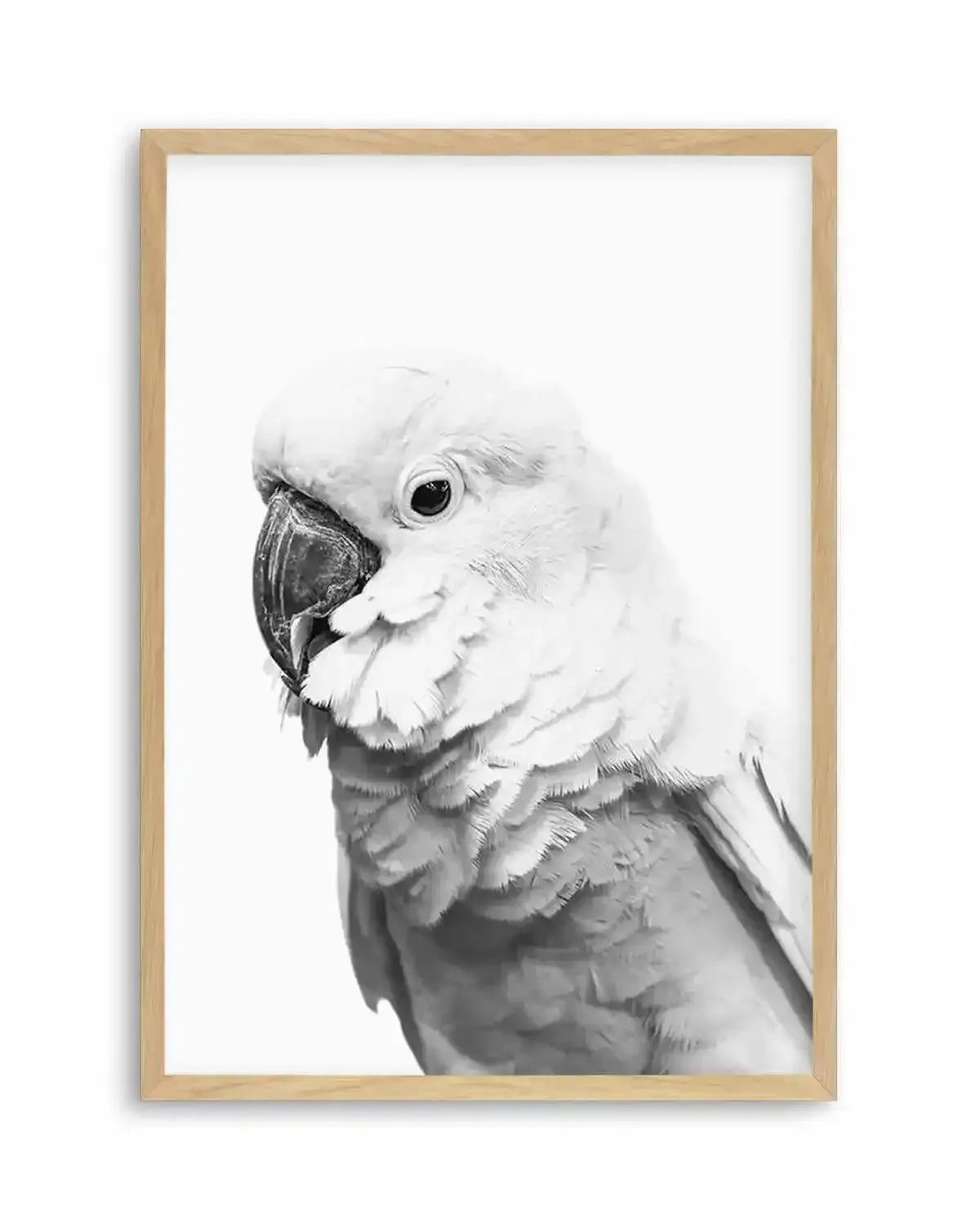 Cockatoo | B&W Art Print from Olive et Oriel where you can shop wallpaper and artworks online