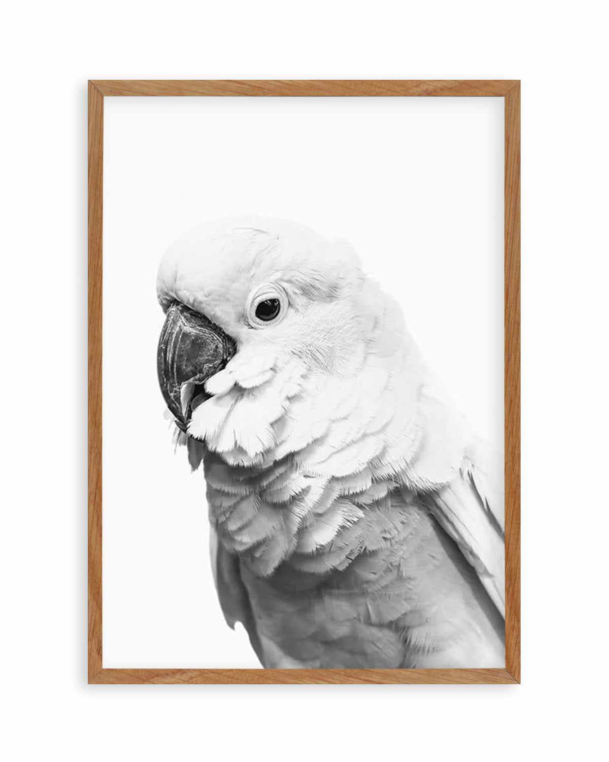 Cockatoo | B&W Art Print