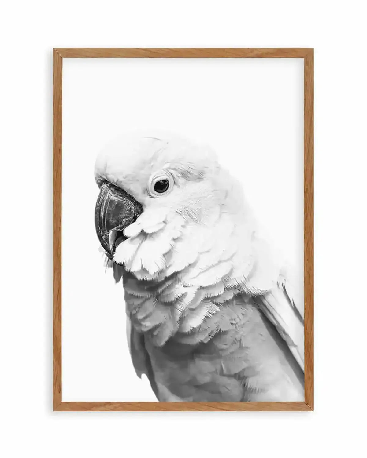 Cockatoo | B&W Art Print from Olive et Oriel where you can shop wallpaper and artworks online