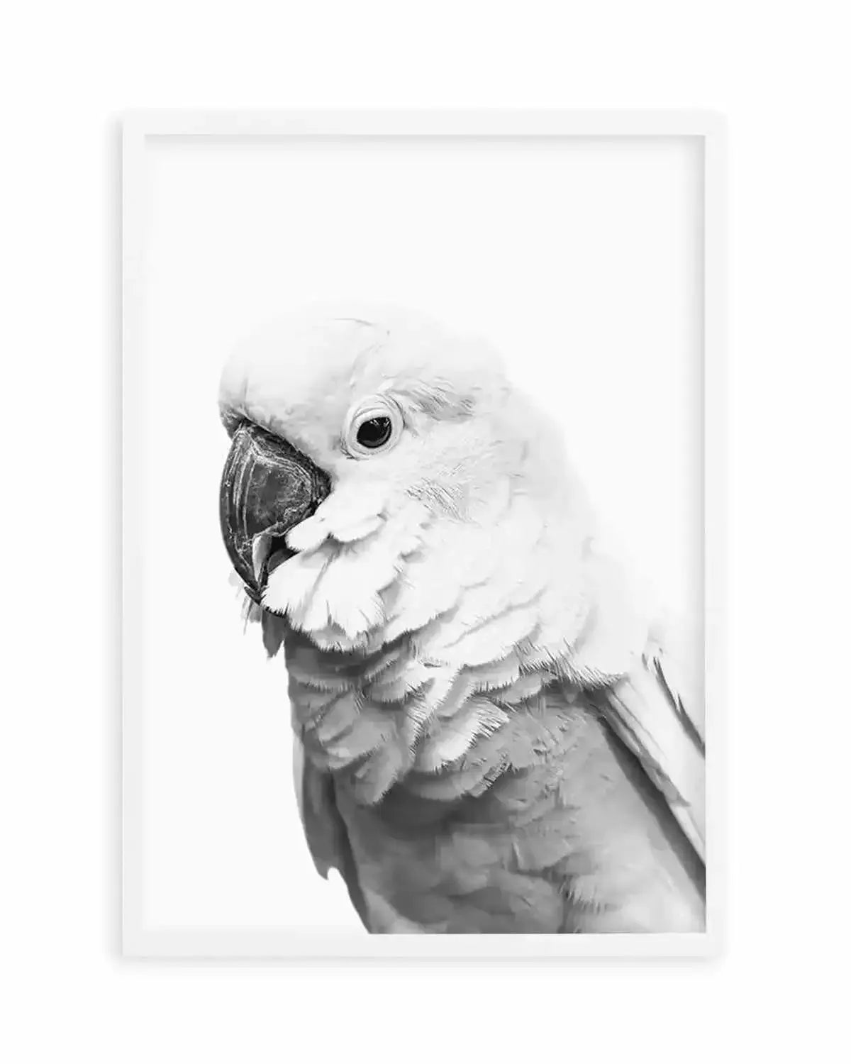 Cockatoo | B&W Art Print from Olive et Oriel where you can shop wallpaper and artworks online