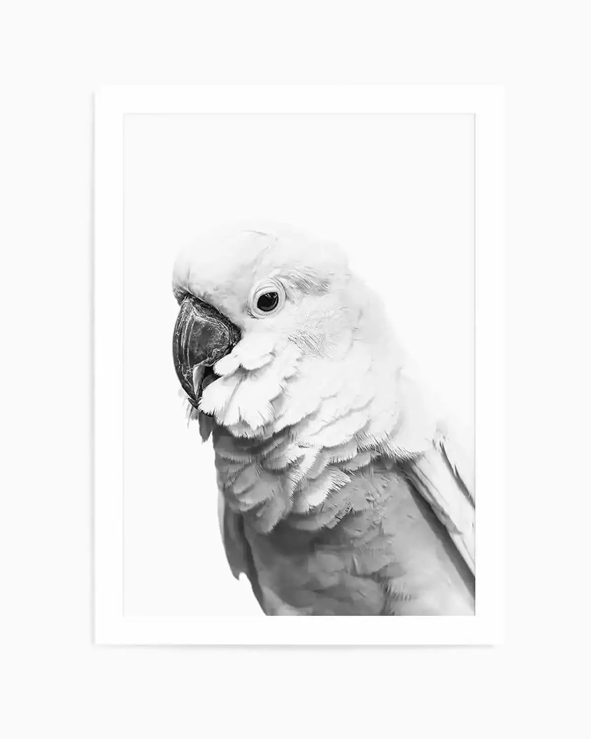 Cockatoo | B&W Art Print from Olive et Oriel where you can shop wallpaper and artworks online
