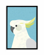Cockatoo on Blue by Dan Hobday Art Print