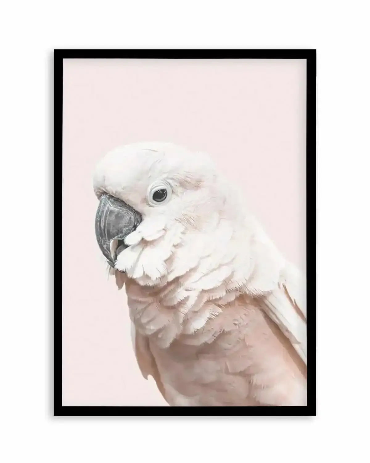 Cockatoo on Blush Art Print from Olive et Oriel where you can shop wallpaper and artworks online