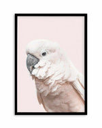 Cockatoo on Blush Art Print