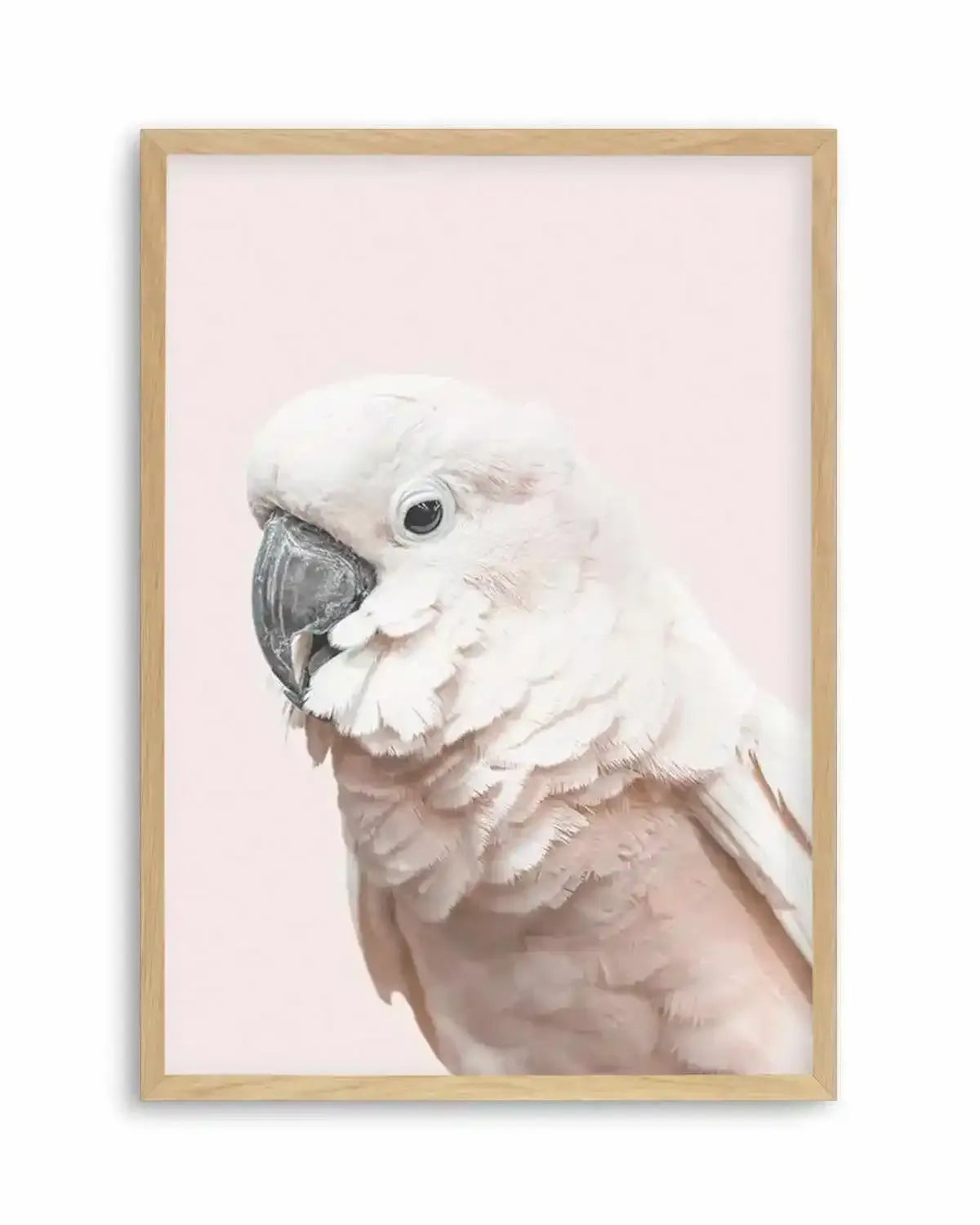 Cockatoo on Blush Art Print from Olive et Oriel where you can shop wallpaper and artworks online