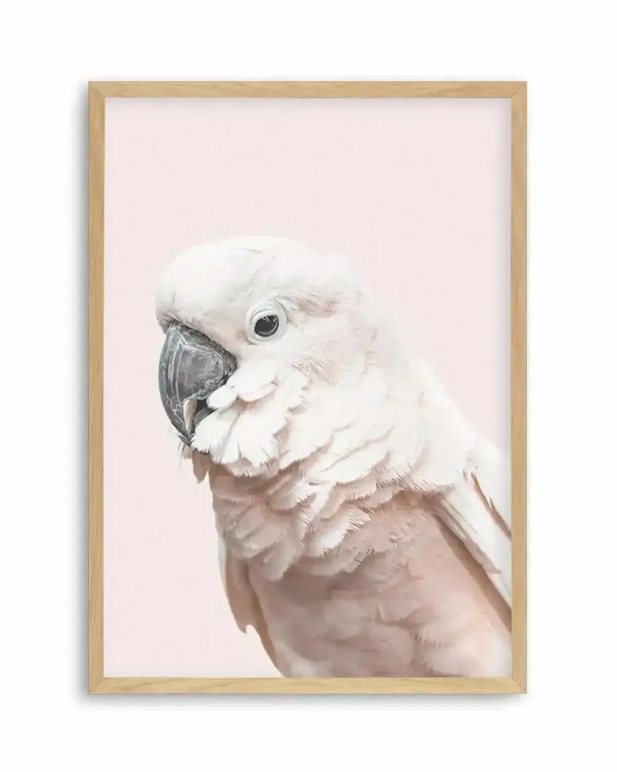 Cockatoo on Blush Art Print from Olive et Oriel where you can shop wallpaper and artworks online