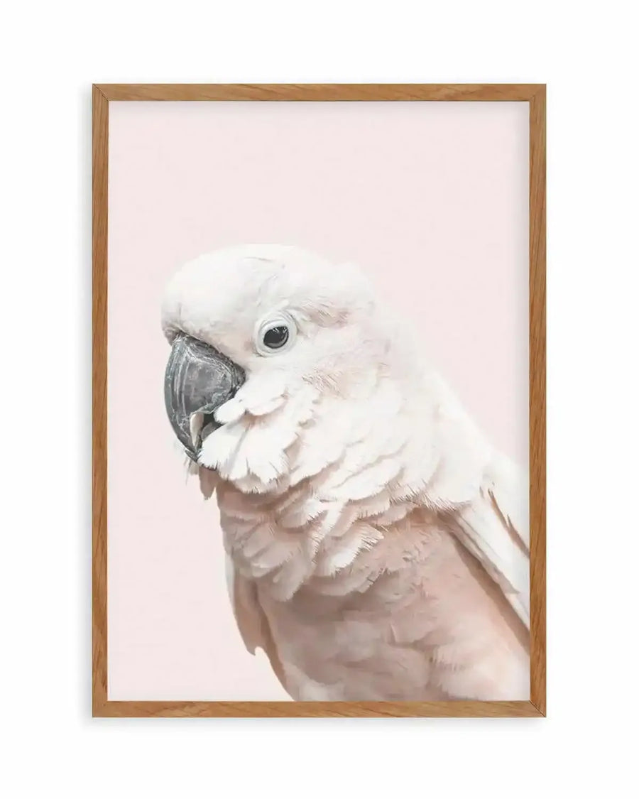Cockatoo on Blush Art Print from Olive et Oriel where you can shop wallpaper and artworks online