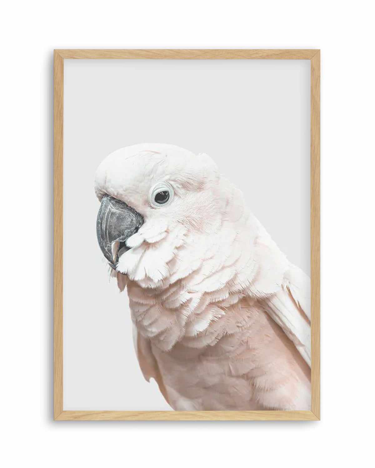 Cockatoo on Grey Art Print