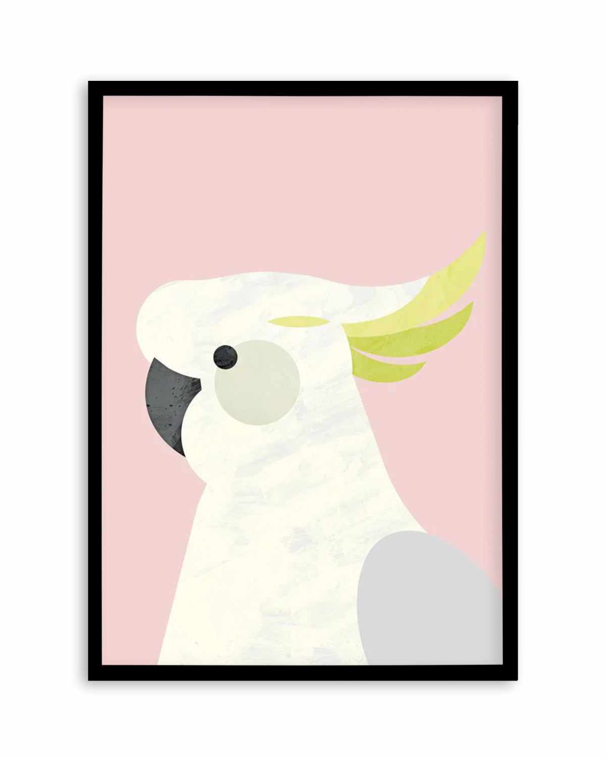 Cockatoo on Pink by Dan Hobday Art Print