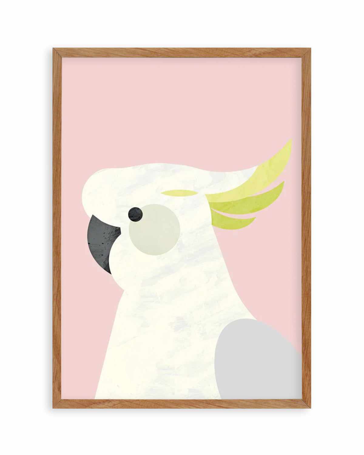 Cockatoo on Pink by Dan Hobday Art Print