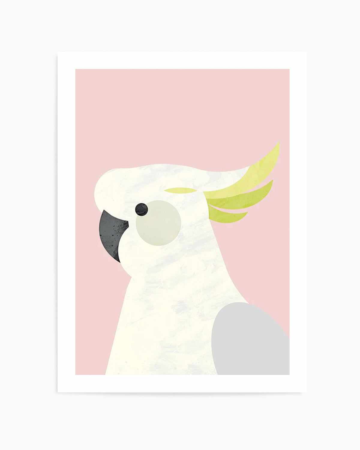 Cockatoo on Pink by Dan Hobday Art Print