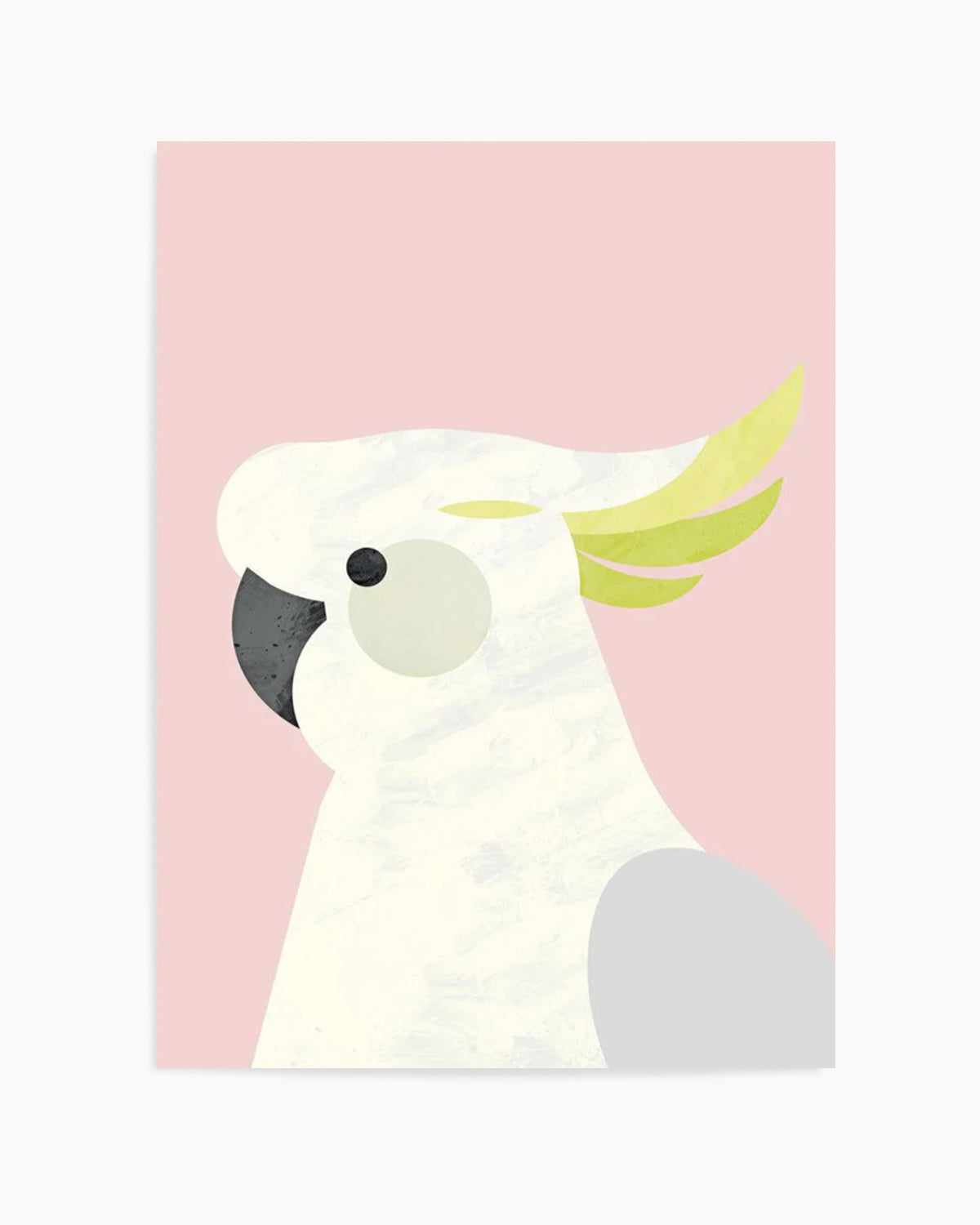 Cockatoo on Pink by Dan Hobday Art Print