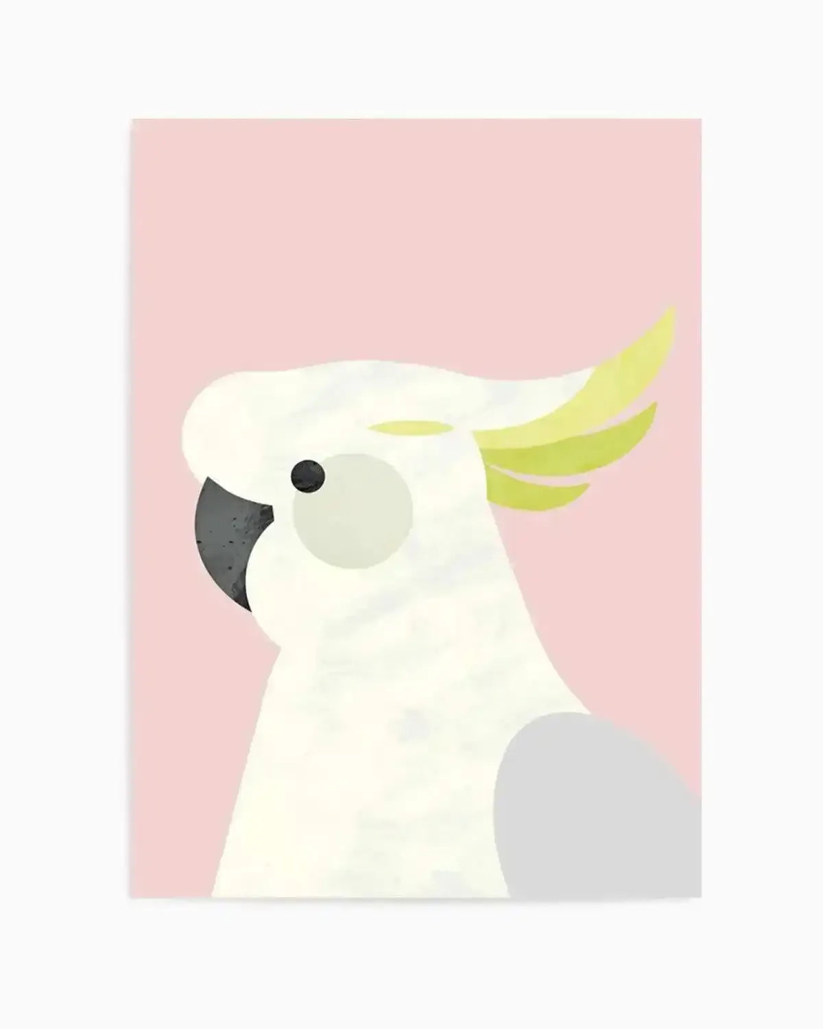 Cockatoo on Pink by Dan Hobday Art Print from Olive et Oriel where you can shop wallpaper and artworks online