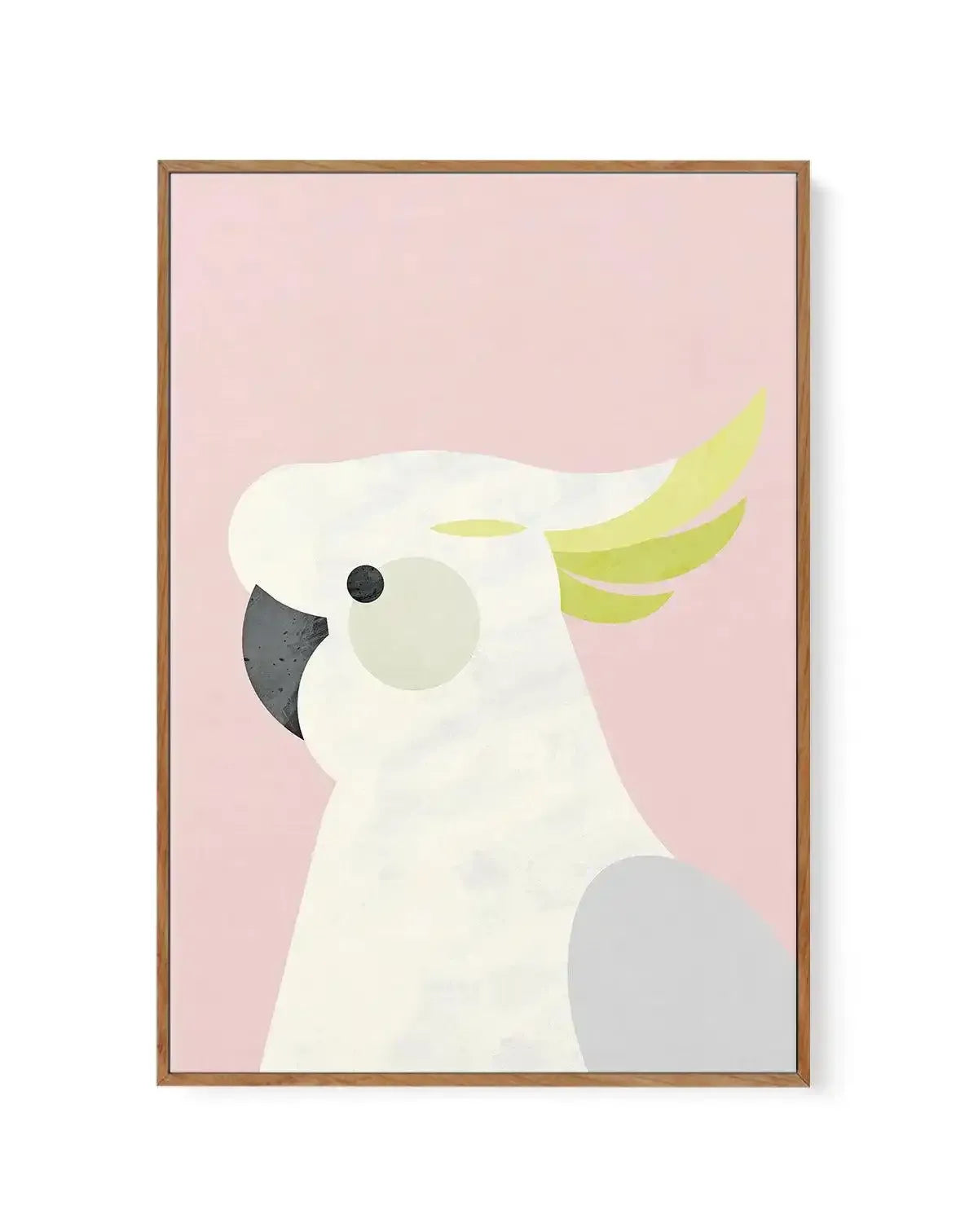 Cockatoo on Pink by Dan Hobday | Framed Canvas-CANVAS-You can shop wall art online with Olive et Oriel for everything from abstract art to fun kids wall art. Our beautiful modern art prints and canvas art are available from large canvas prints to wall art paintings and our proudly Australian artwork collection offers only the highest quality framed large wall art and canvas art Australia - You can buy fashion photography prints or Hampton print posters and paintings on canvas from Olive et Oriel