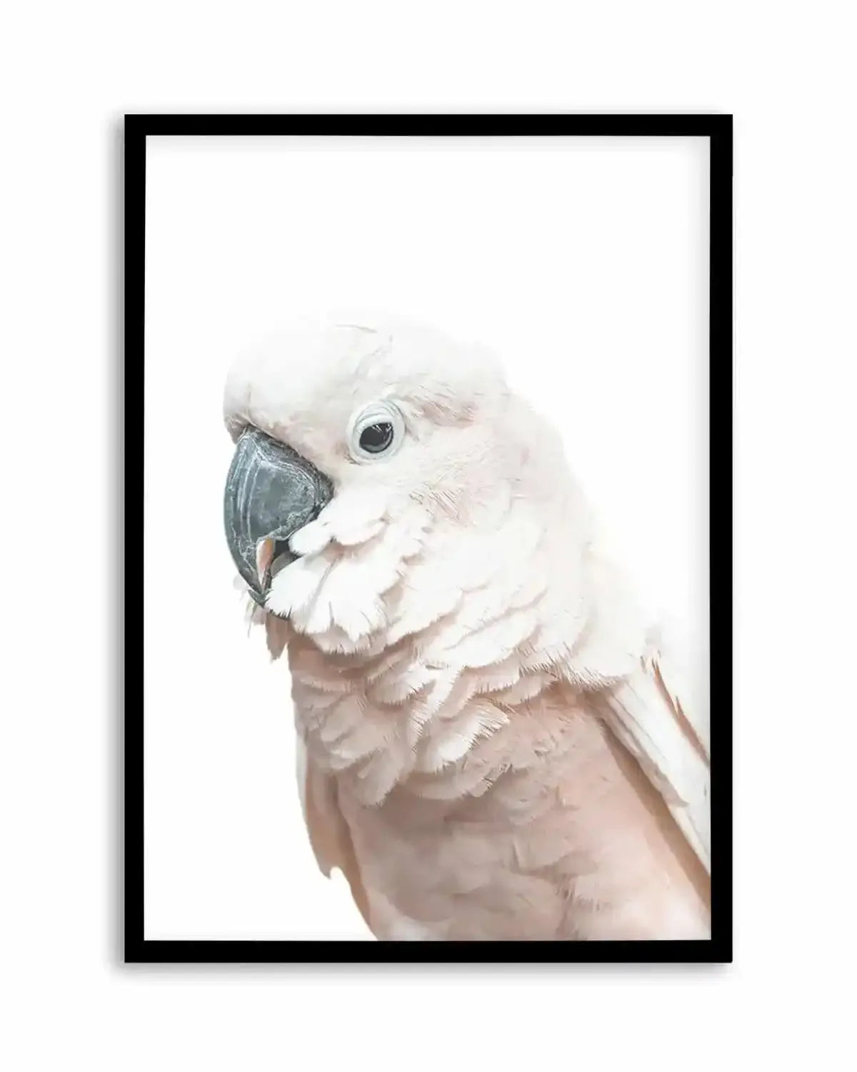 Cockatoo on White Art Print from Olive et Oriel where you can shop wallpaper and artworks online