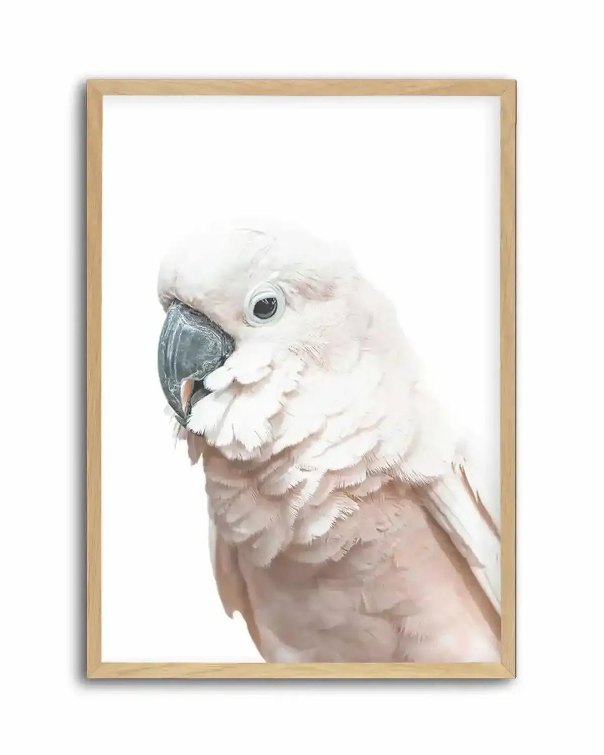 Cockatoo on White Art Print from Olive et Oriel where you can shop wallpaper and artworks online