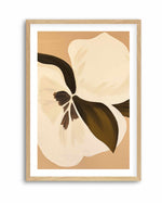 Cocoa Flower | Art Print