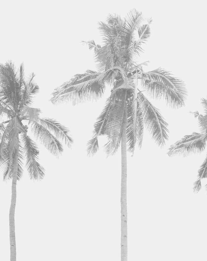 Coconut Palms Wallpaper Mural-Wallpaper-Buy Kids Removable Wallpaper Online Our Custom Made Children‚àö¬¢‚Äö√á¬®‚Äö√ë¬¢s Wallpapers Are A Fun Way To Decorate And Enhance Boys Bedroom Decor And Girls Bedrooms They Are An Amazing Addition To Your Kids Bedroom Walls Our Collection of Kids Wallpaper Is Sure To Transform Your Kids Rooms Interior Style From Pink Wallpaper To Dinosaur Wallpaper Even Marble Wallpapers For Teen Boys Shop Peel And Stick Wallpaper Online Today With Olive et Oriel