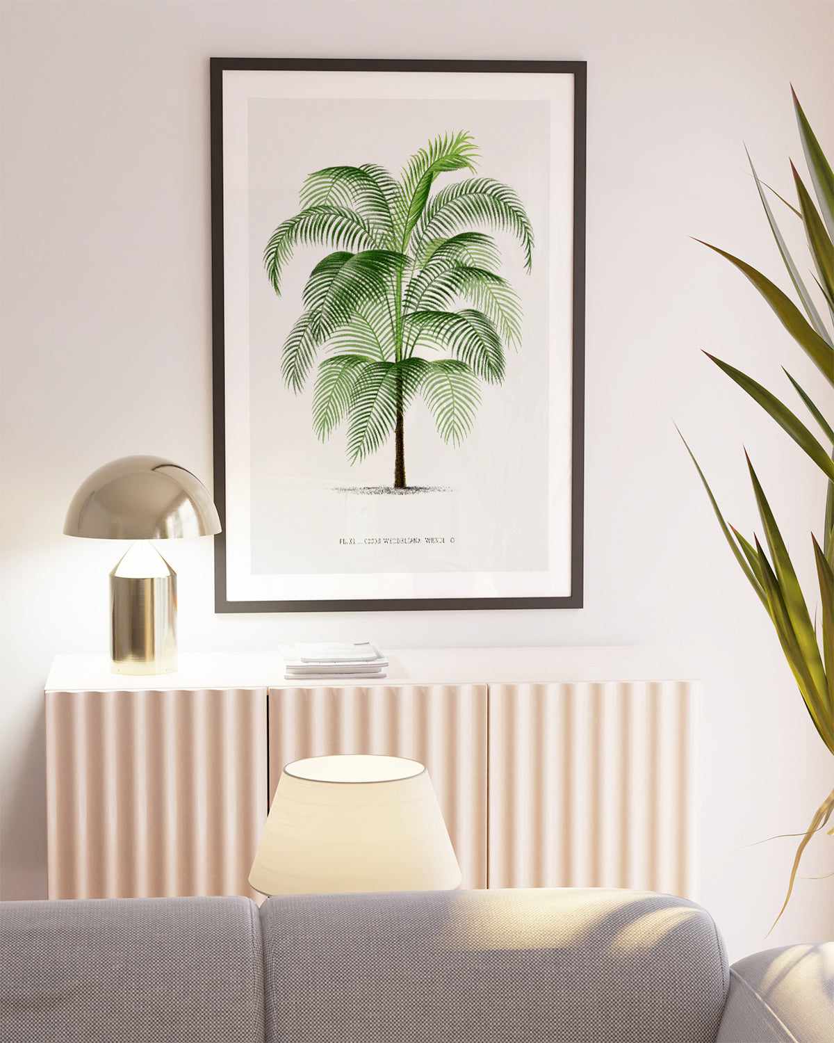 Cocos Weddeliana Vintage Palm Poster Art Print