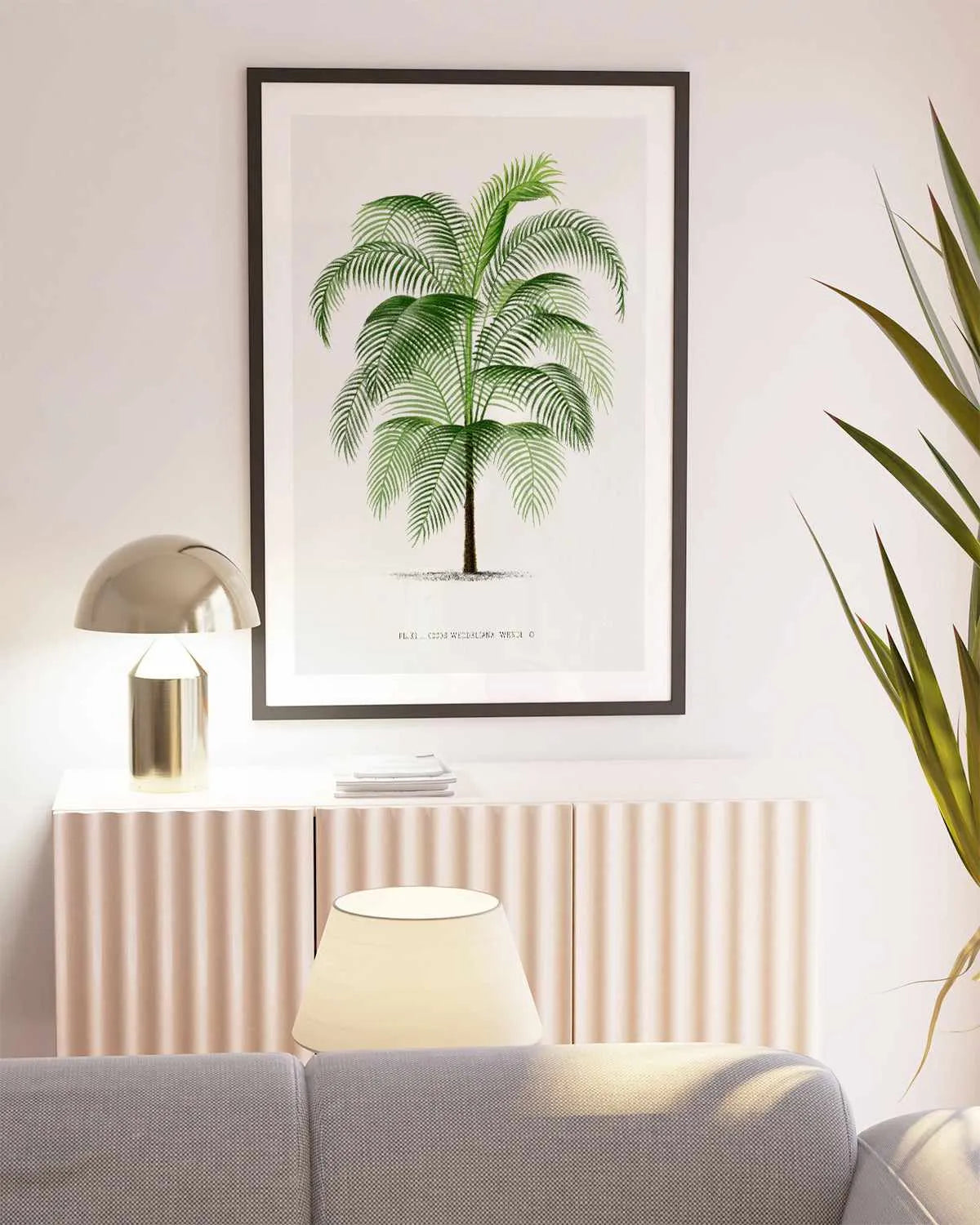 Cocos Weddeliana Vintage Palm Poster Art Print from Olive et Oriel where you can shop wallpaper and artworks online