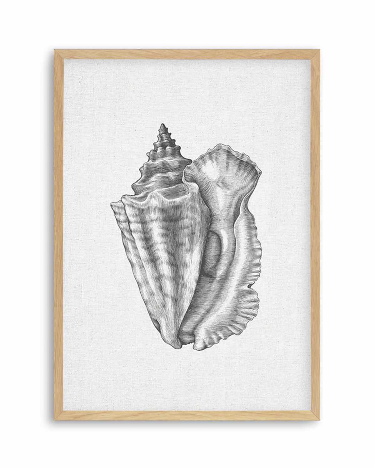 Conch Shell on Linen Art Print