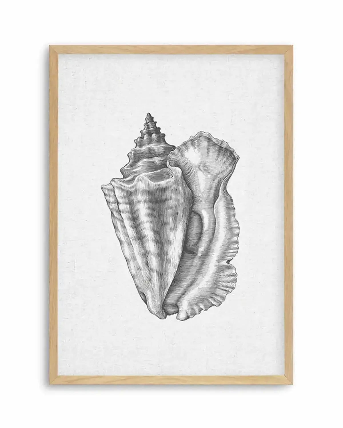 Conch Shell on Linen Art Print from Olive et Oriel where you can shop wallpaper and artworks online
