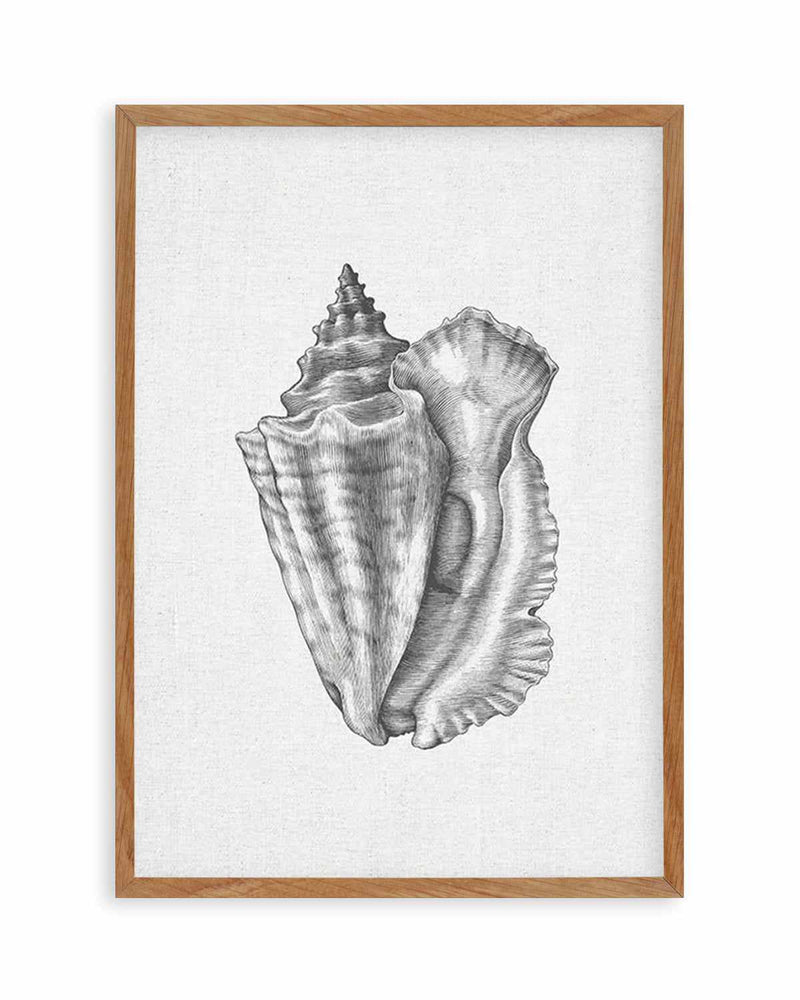 Conch Shell on Linen Art Print