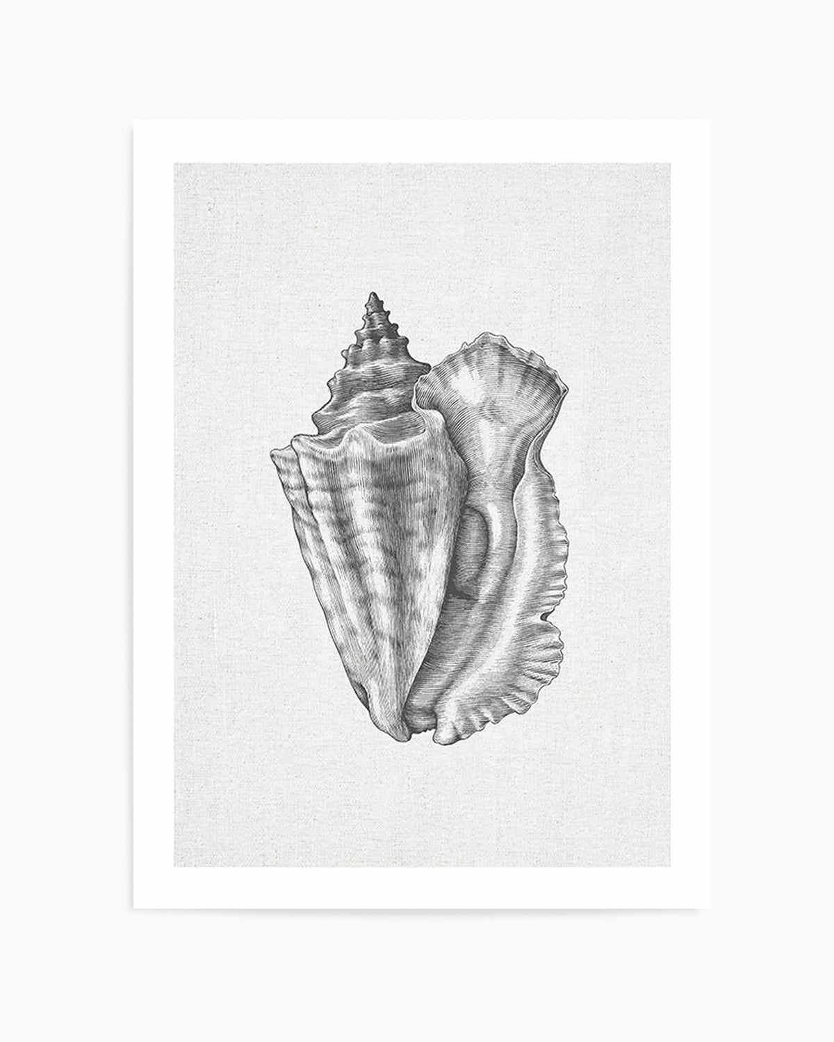 Conch Shell on Linen Art Print