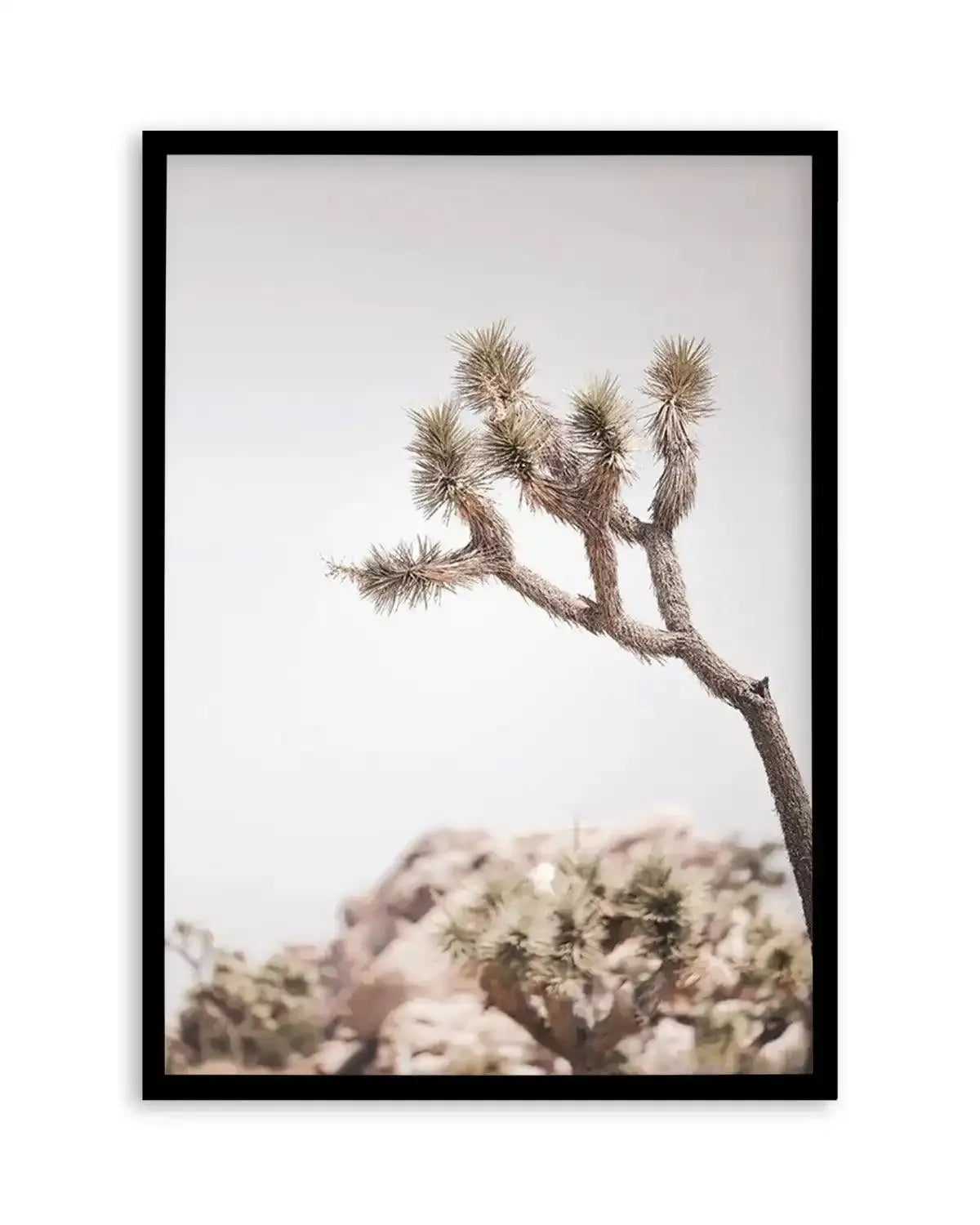 Cool Joshua Tree I | PT Art Print from Olive et Oriel where you can shop wallpaper and artworks online