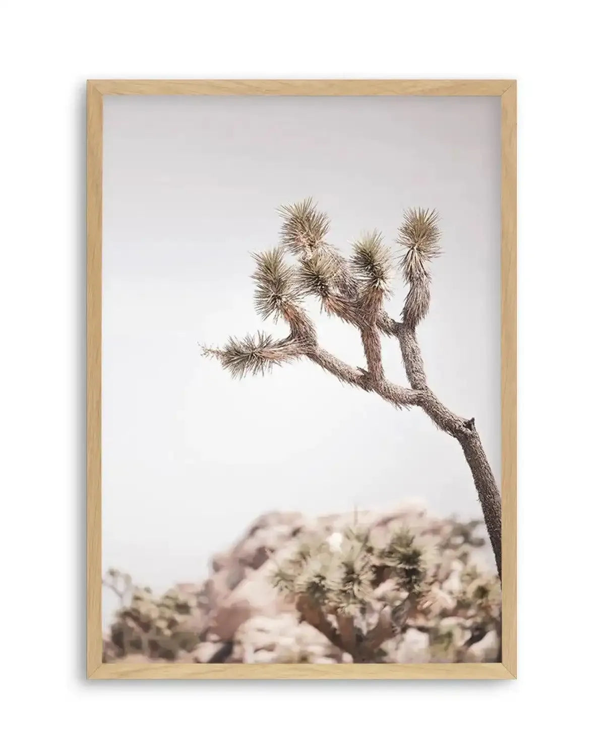 Cool Joshua Tree I | PT Art Print from Olive et Oriel where you can shop wallpaper and artworks online