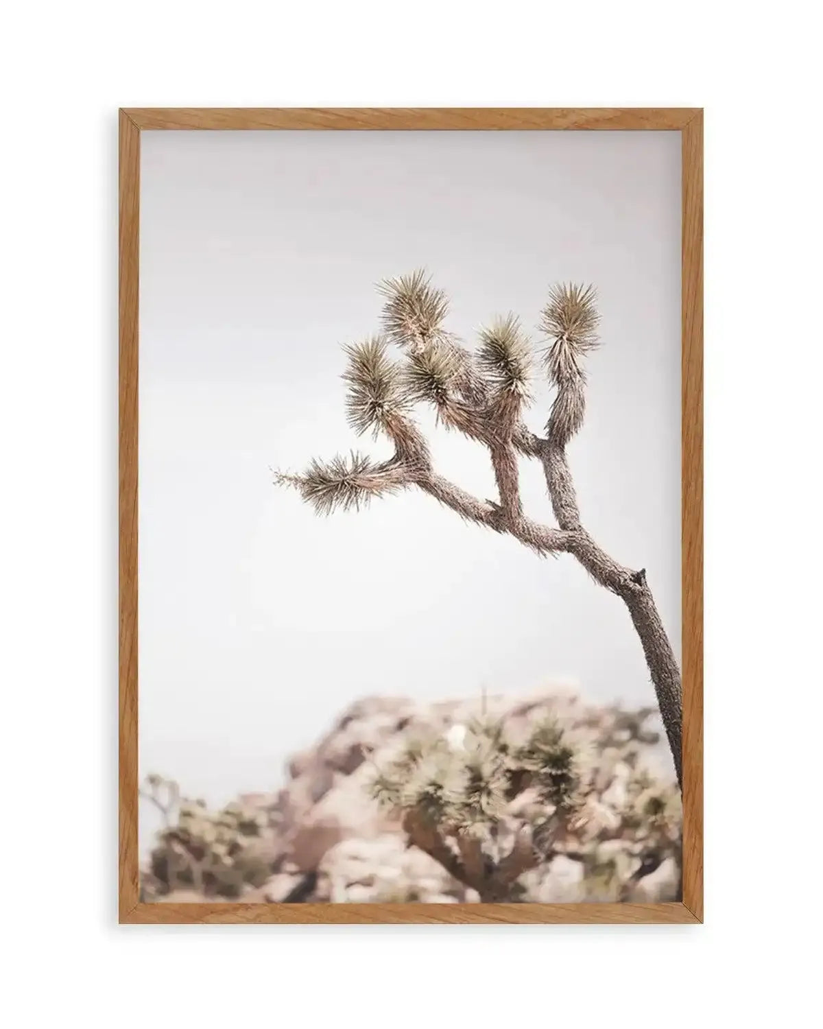 Cool Joshua Tree I | PT Art Print from Olive et Oriel where you can shop wallpaper and artworks online