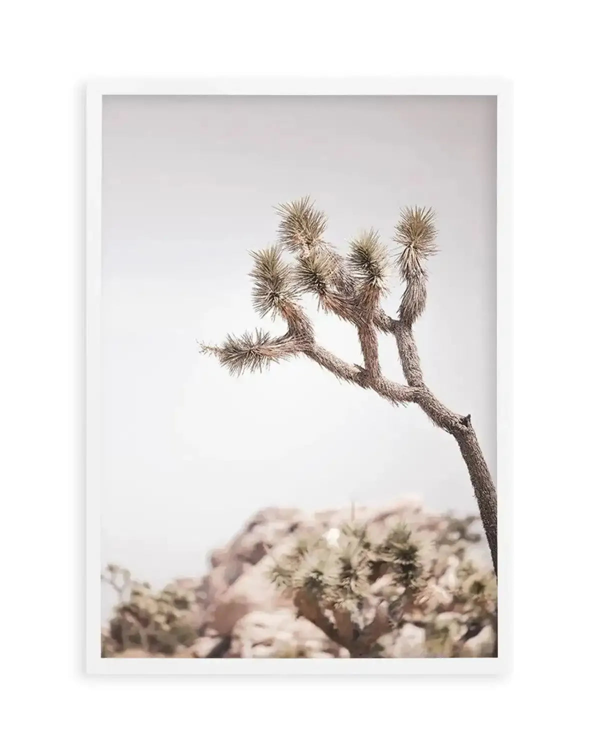 Cool Joshua Tree I | PT Art Print from Olive et Oriel where you can shop wallpaper and artworks online