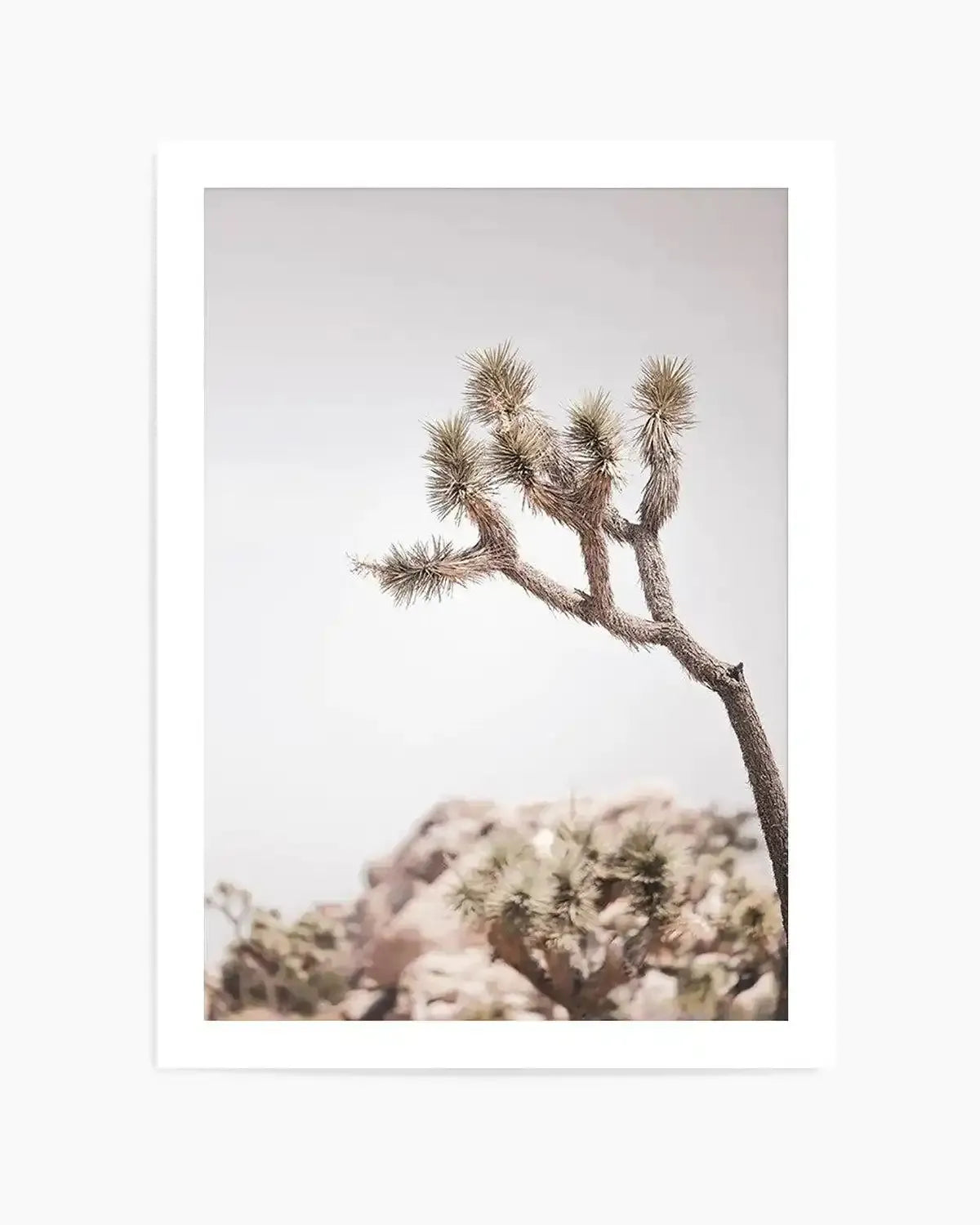 Cool Joshua Tree I | PT Art Print from Olive et Oriel where you can shop wallpaper and artworks online