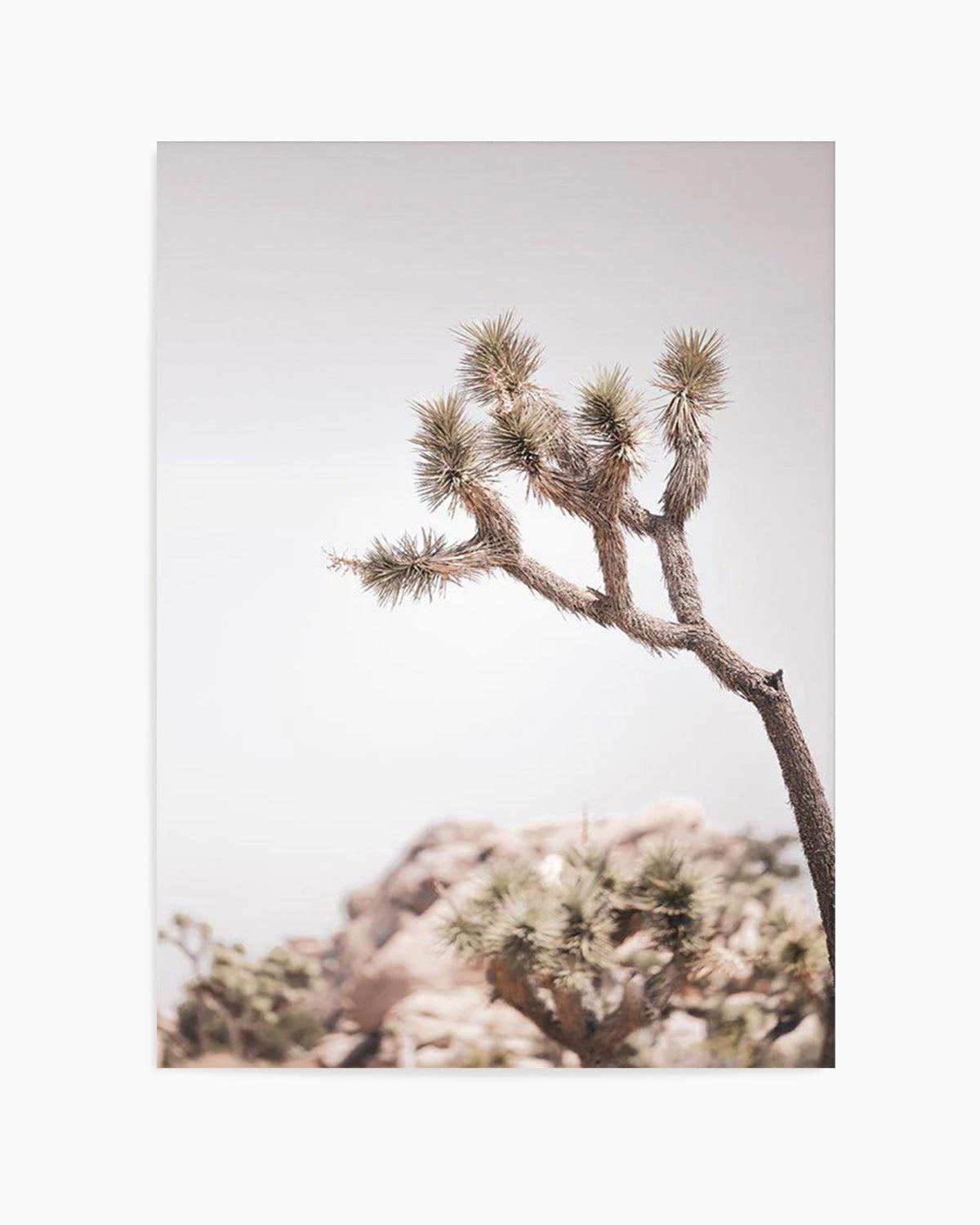 Cool Joshua Tree I | PT Art Print